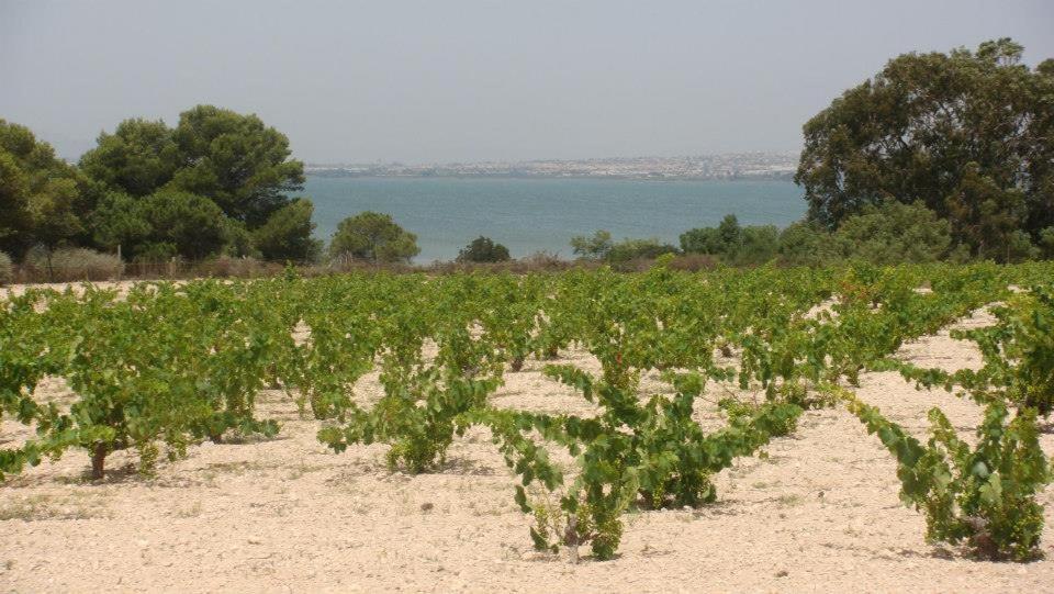 Appartamento Lovely Near The In Sunny La Mata