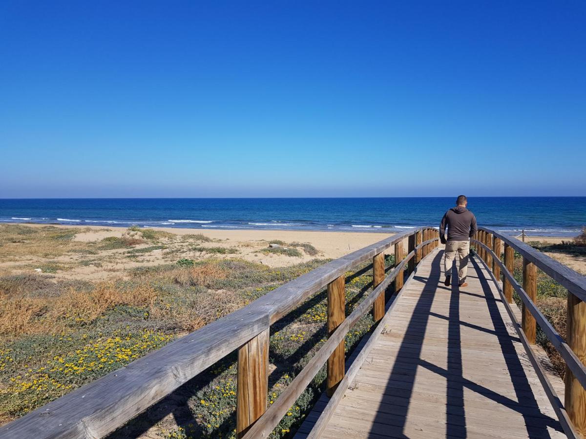 Lovely Near The In Sunny La Mata