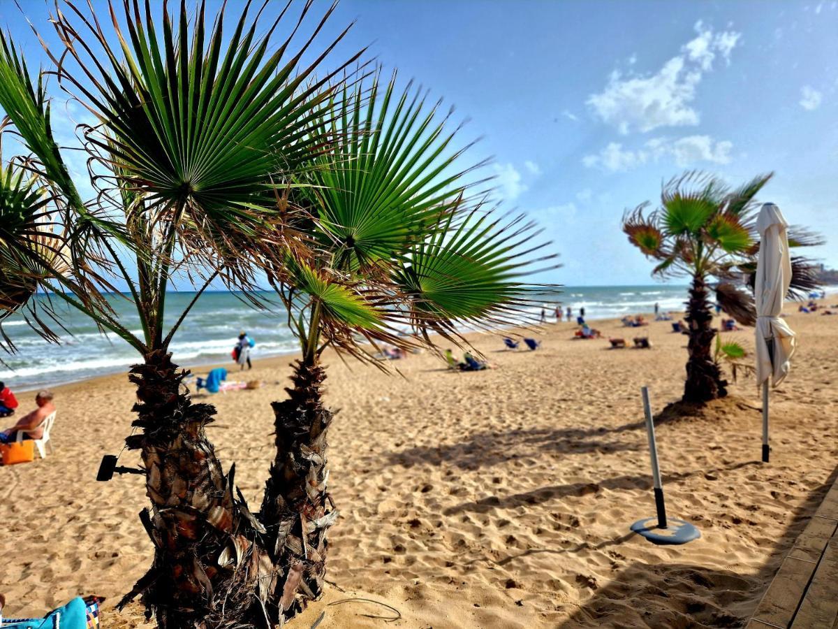 Lovely Near The In Sunny La Mata Apartment *